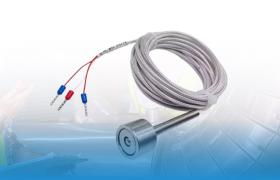 Jual PT100 Temperature Sensor