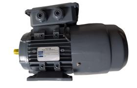AGAF GLOBAL: Distributor Induction Motor